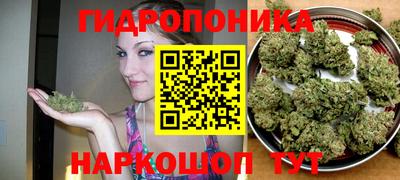 гашик Балаково