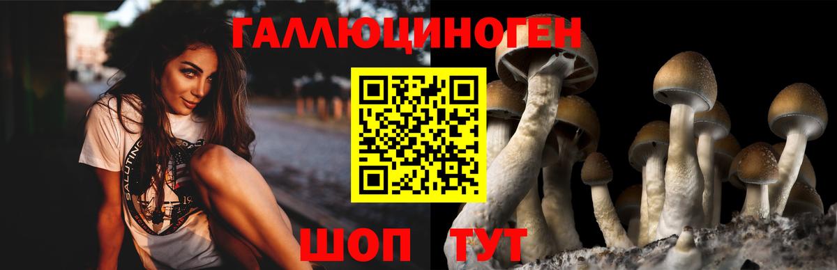 Псилоцибиновые грибы ЛСД Дзержинский